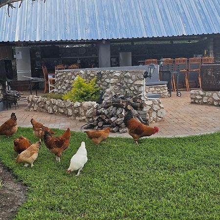 Tamboti Farm Accommodation تسومب المظهر الخارجي الصورة