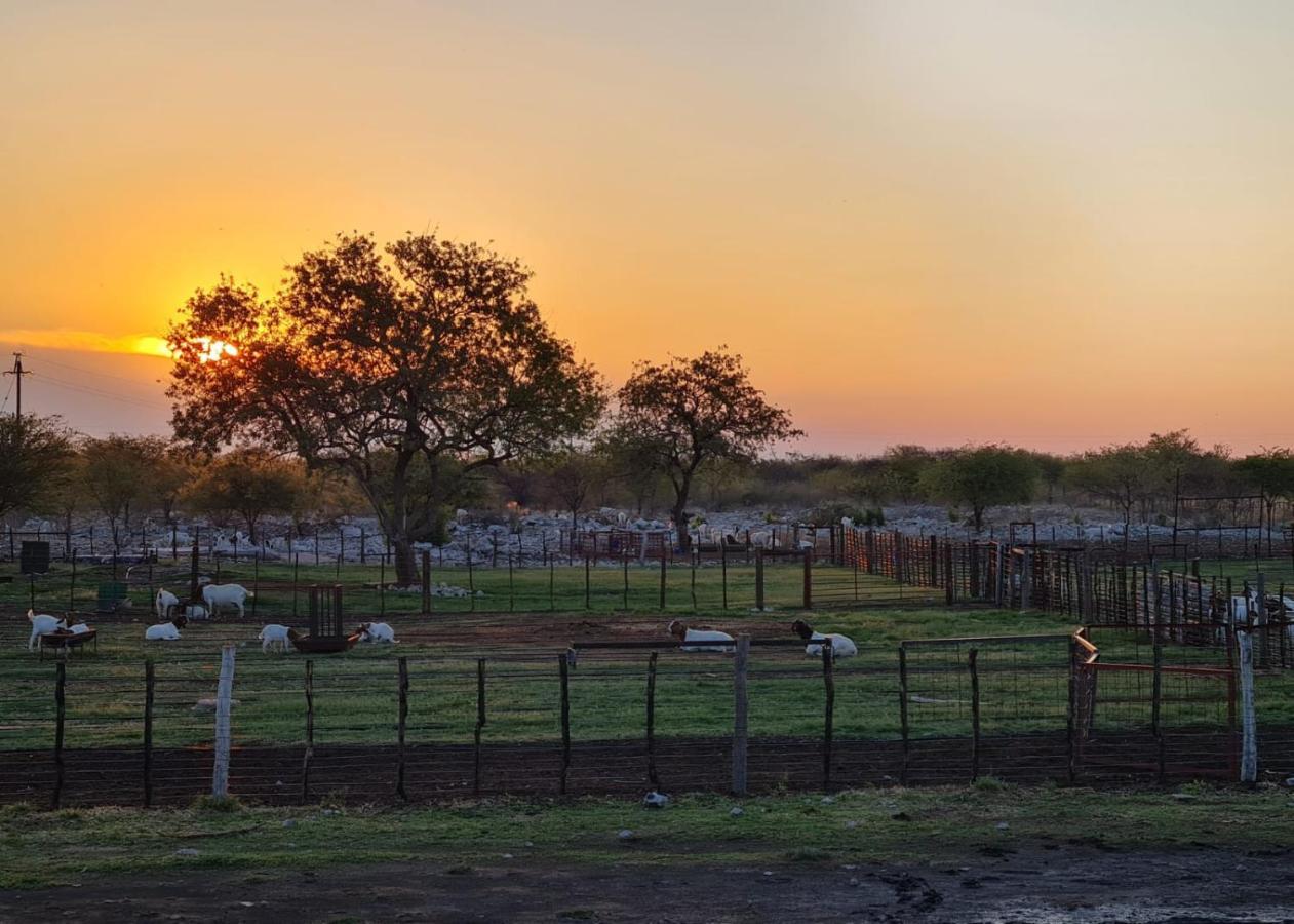 Tamboti Farm Accommodation تسومب المظهر الخارجي الصورة