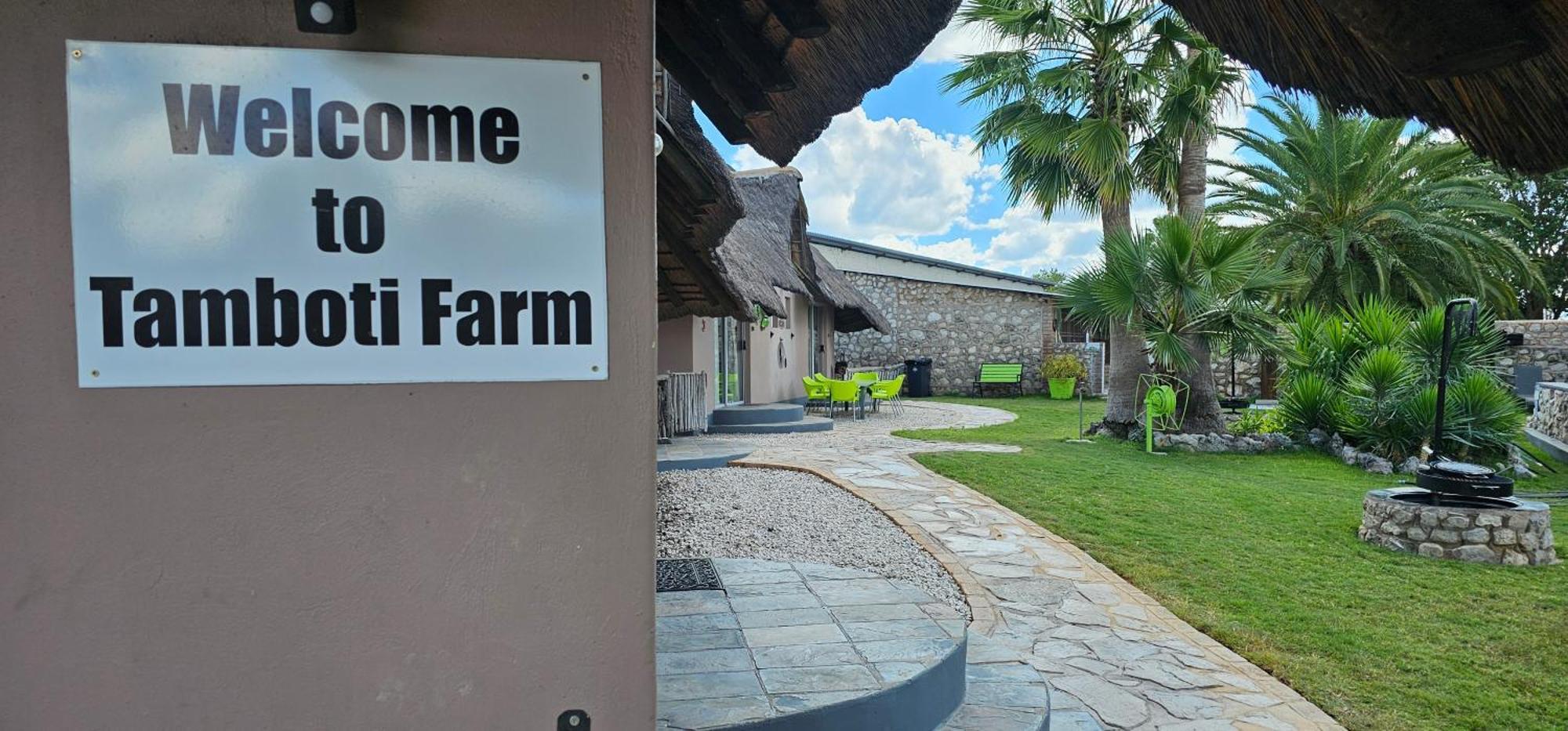 Tamboti Farm Accommodation تسومب المظهر الخارجي الصورة